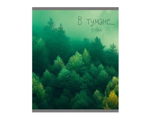 Тетрадь 48л. А5, клетка "В тумане" скрепка