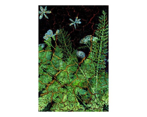 Книги для записей А5 "Тайны леса" (145х210), 100л. 7БЦ, ламинация soft touch.