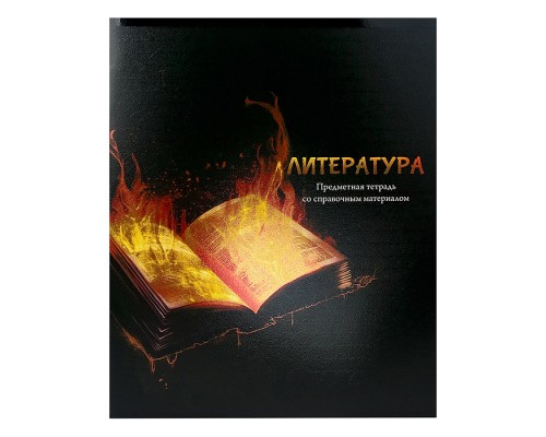 Тетрадь 48л. линия Литература "Магия предмета" стандарт, хол ф.,тв.л