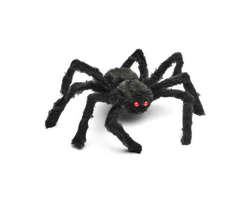 Паук "Grammostola"