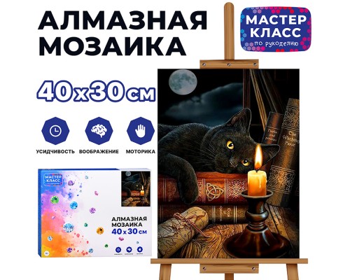 Мозаика алмазная "Черный кот" 30*40см.
