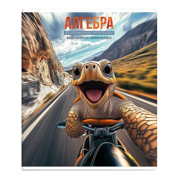 Тетрадь 48 л., клетка "Селфи" Алгебра.
