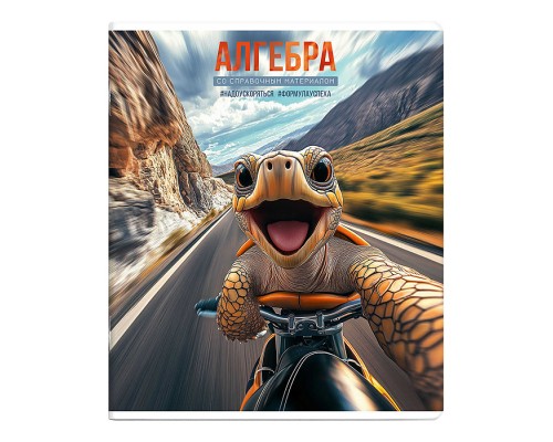 Тетрадь 48 л., клетка "Селфи" Алгебра.