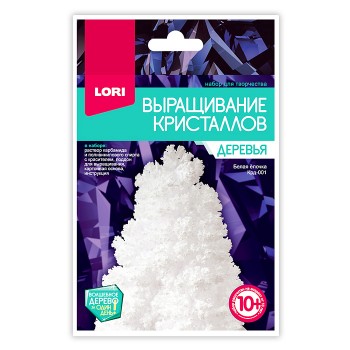 Выращивание кристаллов. Деревья "Белая ёлочка" Выращивание кристаллов. Деревья "Белая ёлочка"