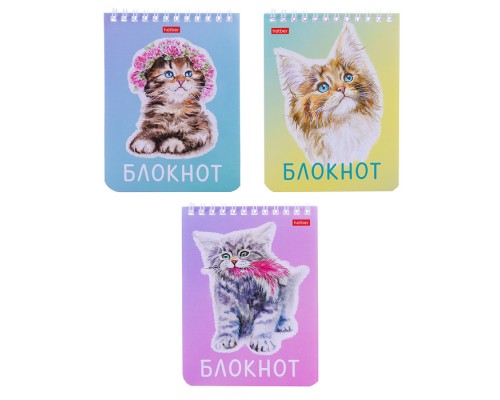 Блокнот 40л А6 клетка "Котики бывают разными"