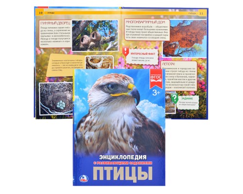Птицы (энциклопедия А4)