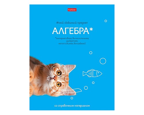Тетрадь 48л клетка "Мой любимый предмет" Алгебра, А5 на скобе. Soft-touch