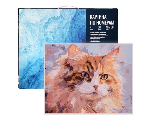 Картина по номерам. Холст на подрамнике "Кот Персик" 40х50