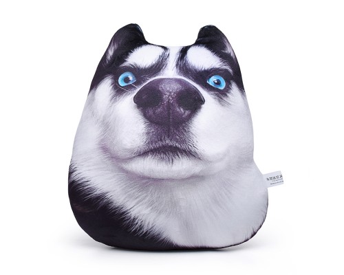 Хаски подозревака