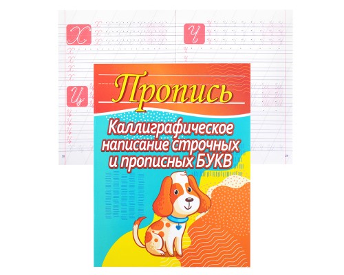 Пропись. Каллиграфическое написание строчных и прописных букв