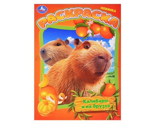 Раскраска. Капибары и их друзья. 214х290 мм. Скрепка. 16 стр.