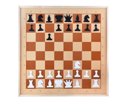 Демонстрационные шахматы магнитные