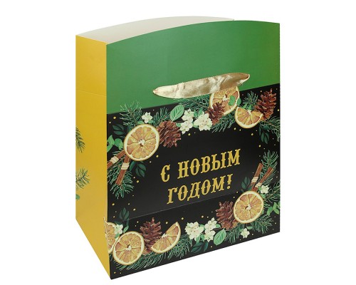 Подарочный пакет-коробка 22,5*20*13,5(М) "Аромат зимы"