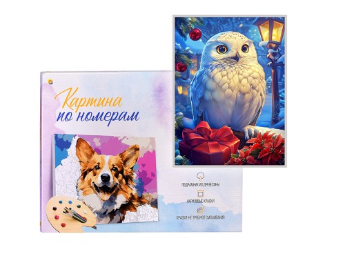 Холст с красками 17х22 по номерам "Белоснежная сова с подарком" в коробке (14цв.)