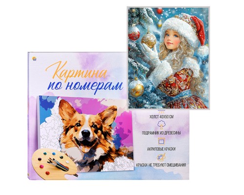 Холст с красками 40х50 по номерам "Внучка Деда Мороза" в коробке (30цв.)
