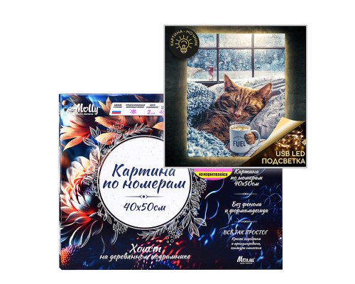 Картина по номерам 40х50 "Морозное утро" USB LED подсветка (26 цветов) НЕ ДЛЯ ПРОДАЖИ НА МАРКЕТПЛЕЙСАХ