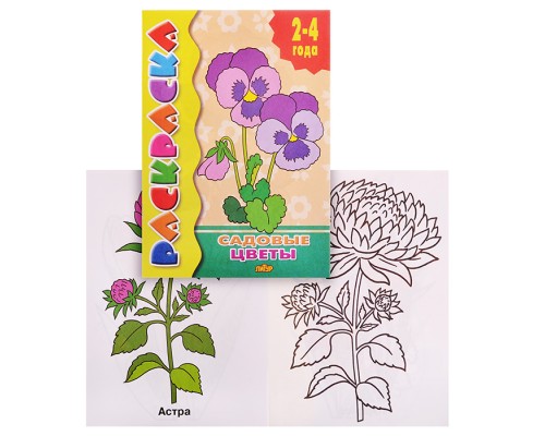 Раскраска 2-4 года. Садовые цветы