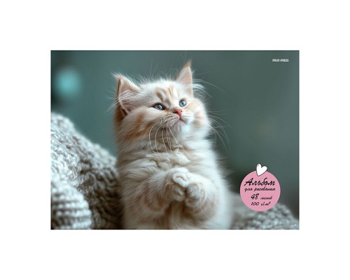 Альбом для рисования А4 48л. "Маленький забавный кот"