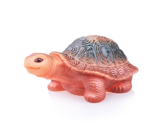 Черепаха Капа