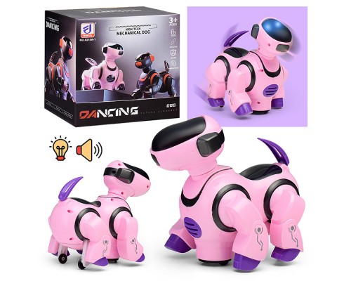 Собака "Зажигательный танец" в коробке