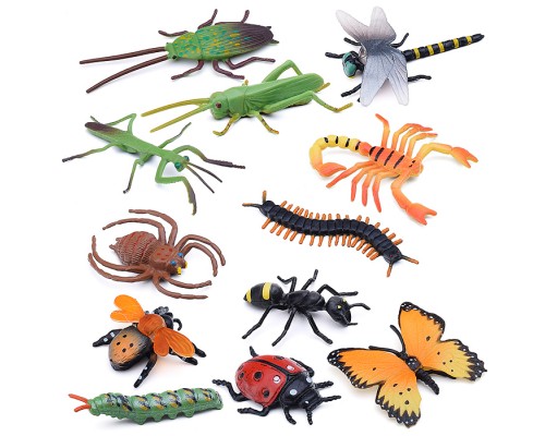 Насекомое в ассортименте, в коробке