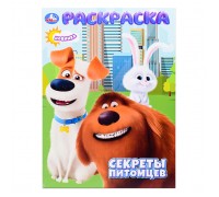 Раскраска "Секреты питомцев"