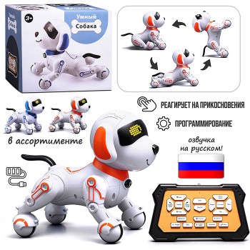 Собака "КиберЛап" в коробке