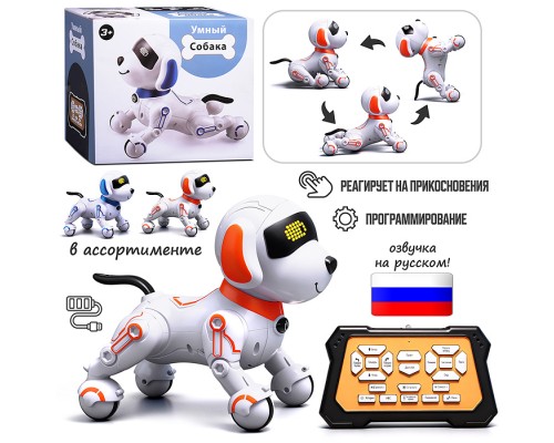 Собака "КиберЛап" в коробке