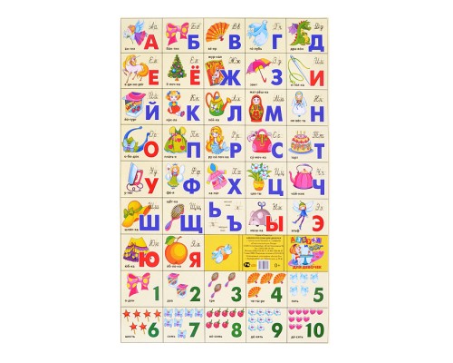 Плакат. Азбука русская разрез + счет для девочек (мал.формат)  200*330