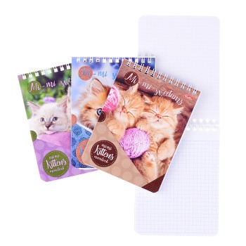 Блокнот 40л А6 клетка на гребне серия "Милые Котята"