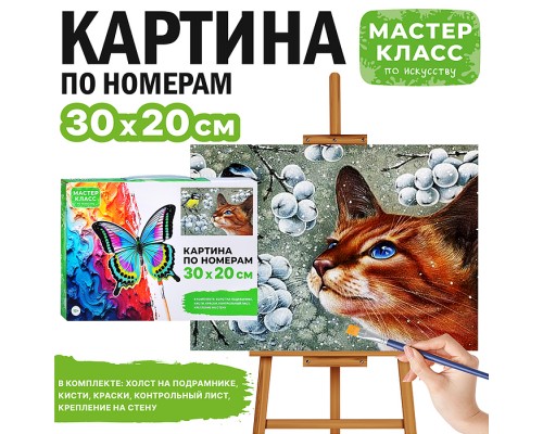 Набор для рисования "Картина по номерам 30х20 см. Увлечение"
