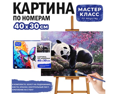 Набор для рисования "Картина по номерам 30х40 см. Спящая панда"