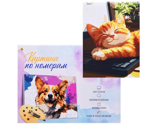Холст с красками 30x40 по номерам "Спящий милый котик" в коробке (30цв.)