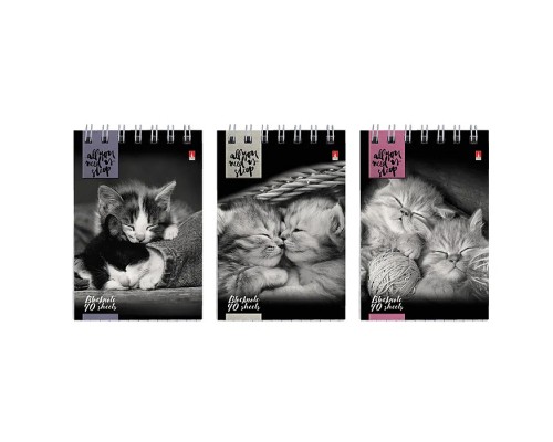 Блокнот А7 40 л. "Кошки" 3 вида