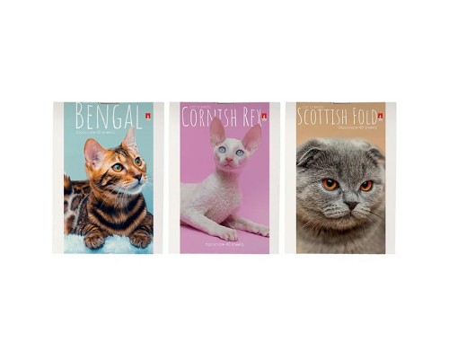 Блокнот А7 40 л. "Кошки" 3 вида