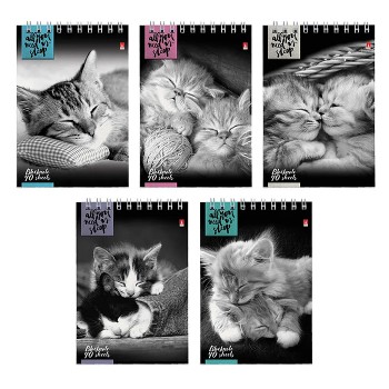 Блокнот А6 40 л. "Котята" 5 видов