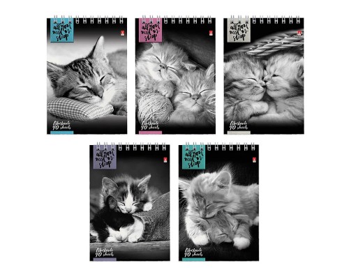 Блокнот А6 40 л. "Котята" 5 видов