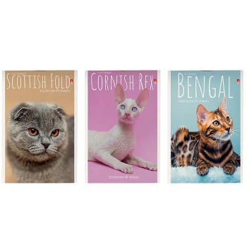 Блокнот А6 40 л. "Кошки" 3 вида