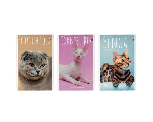 Блокнот А6 40 л. "Кошки" 3 вида