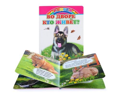Книга картон. Во дворе кто живет?