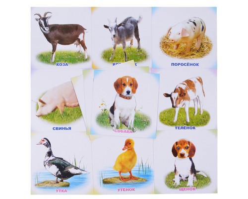 Развивающие карточки. ЕП. Мама и малыш 0+