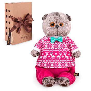 Кот Басик в зимней пижаме