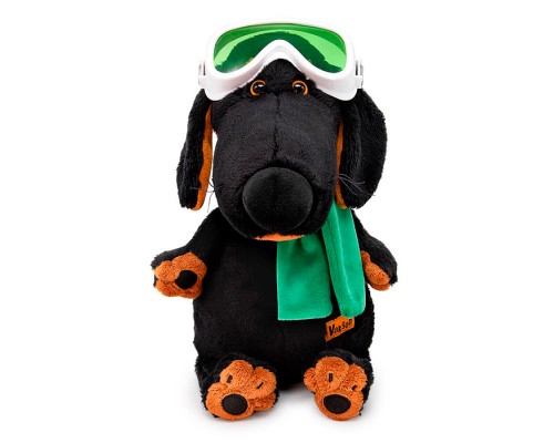 Собака Ваксон в горнолыжных очках