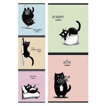 Тетрадь 48л. клетка "Чёрный котёнок - 1"