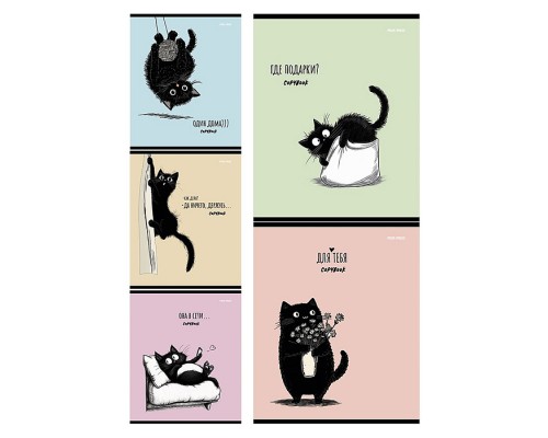 Тетрадь 48л. клетка "Чёрный котёнок - 1"