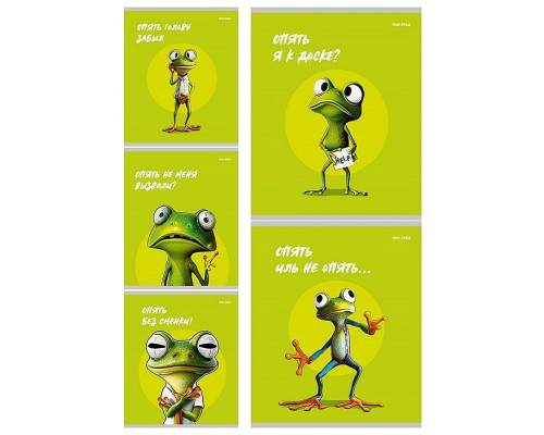 Тетрадь 48л. клетка "Жабка" цветная мелованная обложка