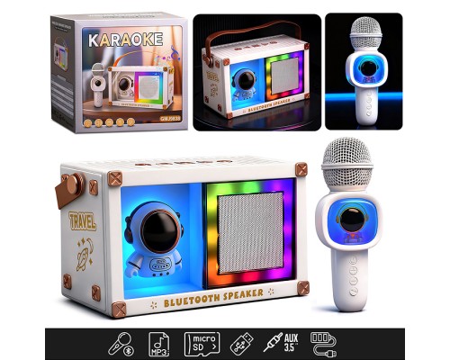Караоке - центр игрушечный GMJ9838 "Вечеринка" в коробке
