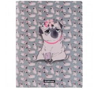 Папка файловая пластиковая Chilling Dog, с 30 карманами, А4