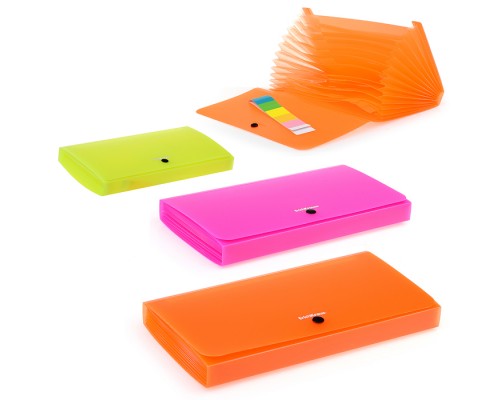 Папка-картотека пластиковая Matt Neon, с 12 отделениями, Check size, ассорти
