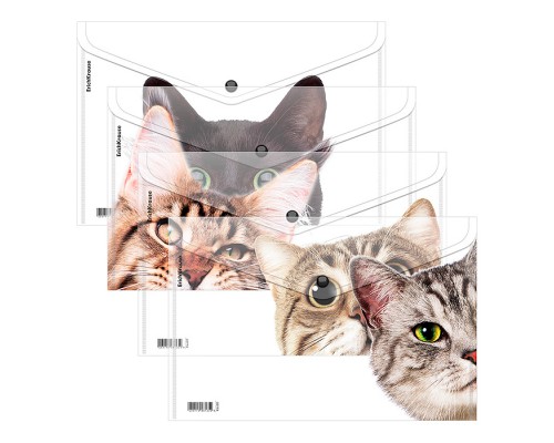 Папка-конверт на кнопке пластиковая Hiding Cats, A4, ассорти